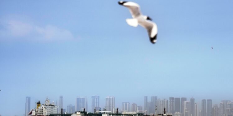 Commercial supply of LPG to ease in coming days: CM