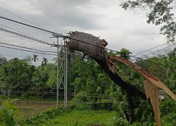Authorities on alert as rains pummel Meghalaya