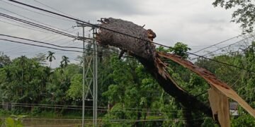 Authorities on alert as rains pummel Meghalaya