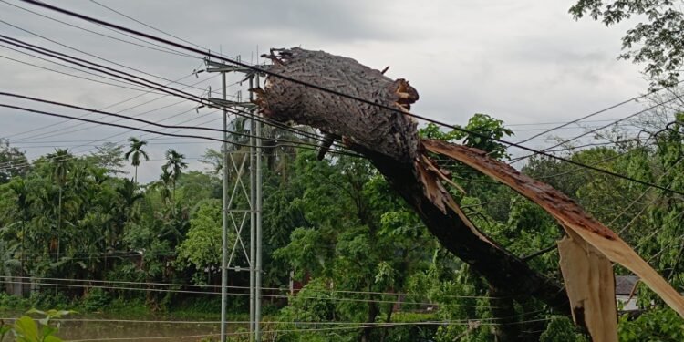 Authorities on alert as rains pummel Meghalaya