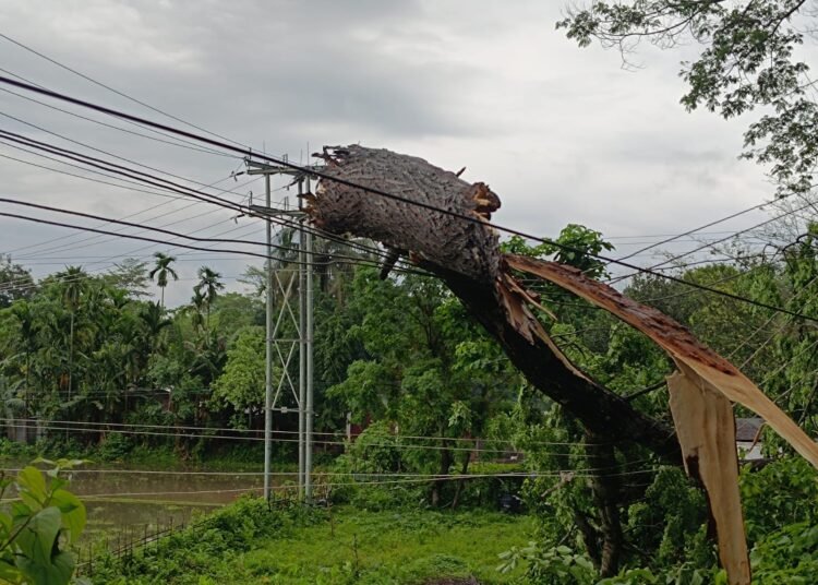 Authorities on alert as rains pummel Meghalaya