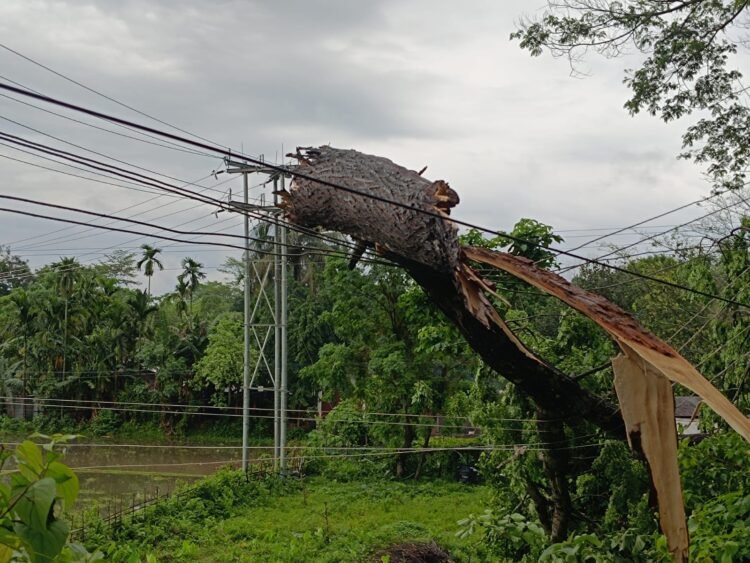 Authorities on alert as rains pummel Meghalaya
