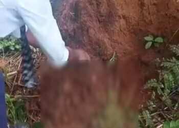 Ri-Bhoi cops register case over abandoned newborn; public cautioned