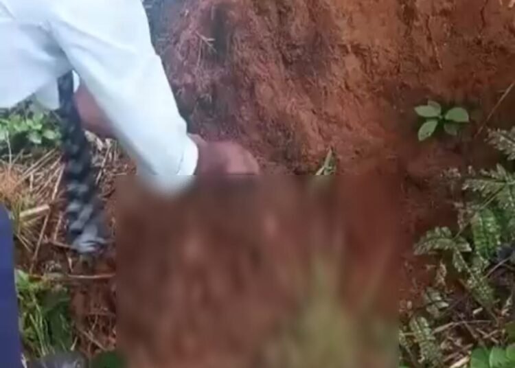 Ri-Bhoi cops register case over abandoned newborn; public cautioned