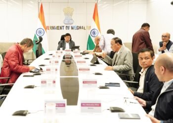 Central body to manage waste in Shillong