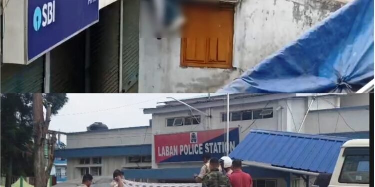 2 very public suicides in city