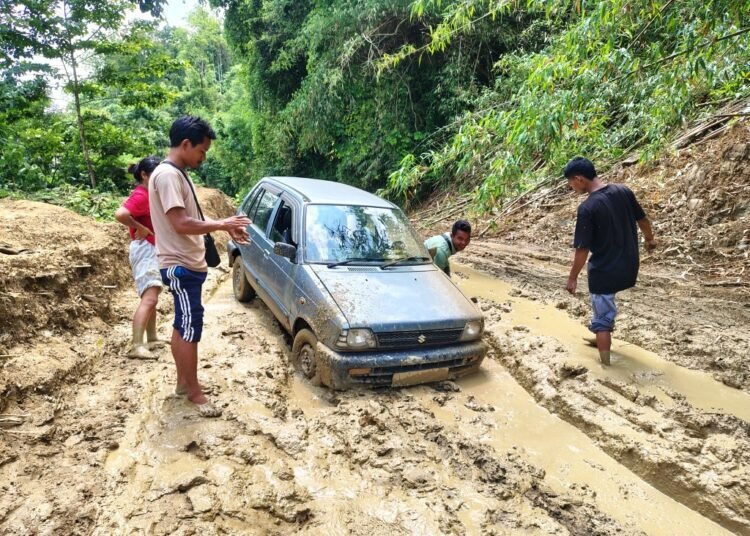 Activist flags maintenance failures of PMGSY roads in SGH