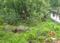Major storm disrupts normal life in Garo Hills