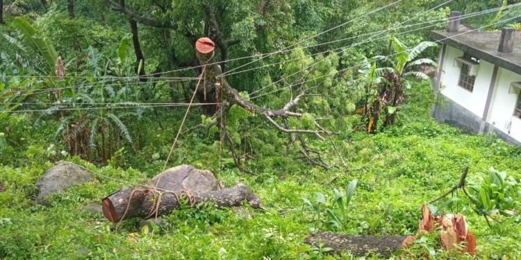 Major storm disrupts normal life in Garo Hills