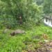Major storm disrupts normal life in Garo Hills