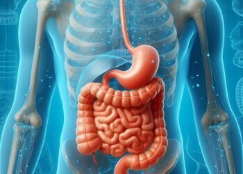 Digestion and Detoxification