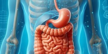 Digestion and Detoxification