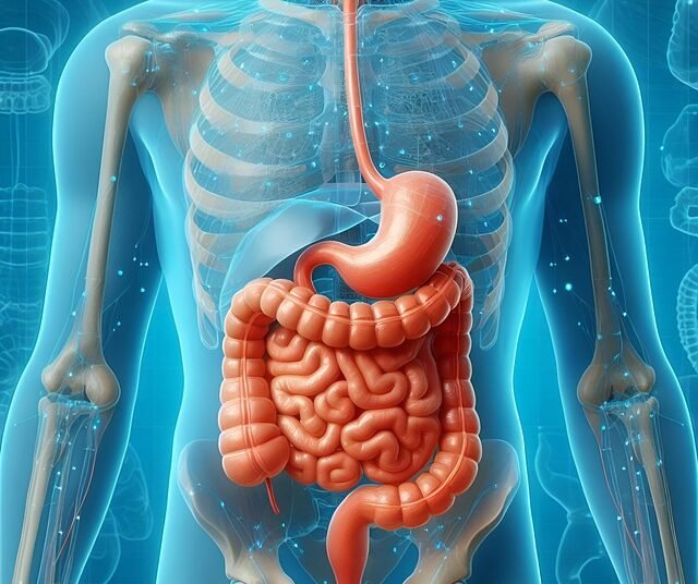 Digestion and Detoxification