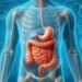 Digestion and Detoxification