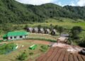 Homestay boom transforming rural incomes