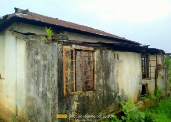 Govt cattle centre in shambolic condition