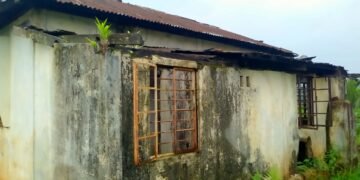 Govt cattle centre in shambolic condition