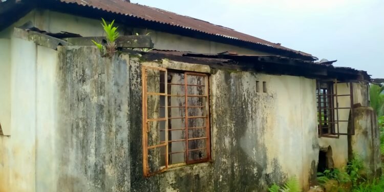 Govt cattle centre in shambolic condition