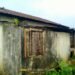 Govt cattle centre in shambolic condition