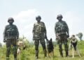 Soldiers on 4 legs steal the show at multinational military exercise at Umroi