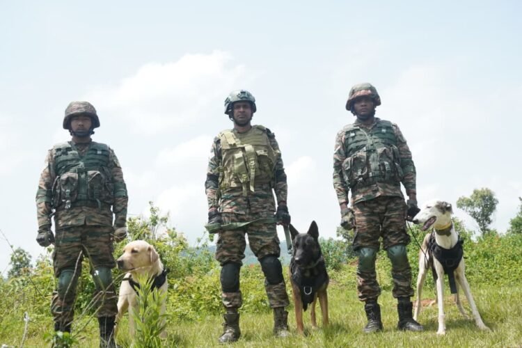 Soldiers on 4 legs steal the show at multinational military exercise at Umroi