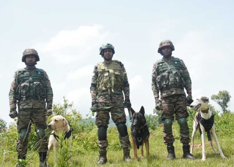 Soldiers on 4 legs steal the show at multinational military exercise at Umroi