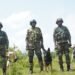 Soldiers on 4 legs steal the show at multinational military exercise at Umroi