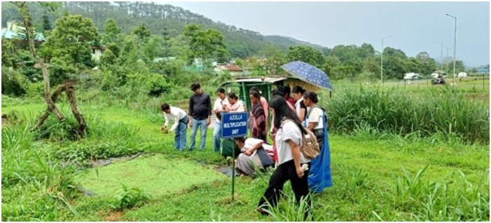 Farmers trained on pig farming