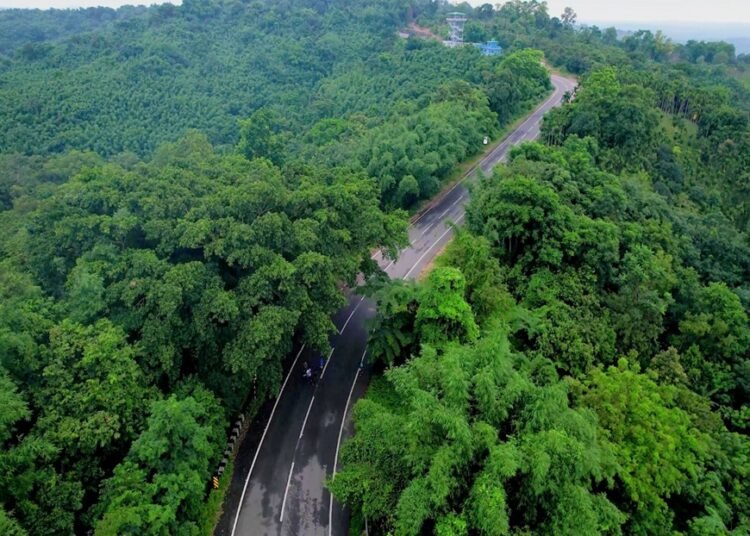 Concerns over transfer of NH-217 project to NHIDCL