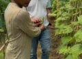 NICRA boosts climate resilience & incomes in SGH