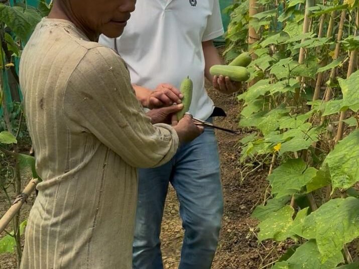 NICRA boosts climate resilience & incomes in SGH