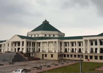 Consultant says improper cleaning to be blamed for new Assembly roof trouble