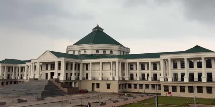 Consultant says improper cleaning to be blamed for new Assembly roof trouble