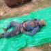 Cops seeks relatives of man found in EJH coal mine