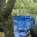 Body of Pynter youth exhumed for post-mortem probe