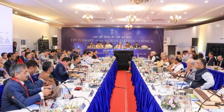 Amit Shah focuses on Peace & Prosperity at NEC plenary session