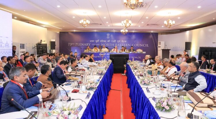 Amit Shah focuses on Peace & Prosperity at NEC plenary session