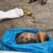 Another poisoned dog found dead in Laban