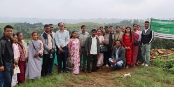 Call for green restoration funds to focus on value addition of local produce