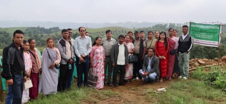 Call for green restoration funds to focus on value addition of local produce