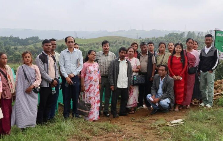 Call for green restoration funds to focus on value addition of local produce