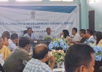 DPDC reviews development initiatives in SWGH