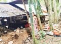 Elephant damages home in SWGH