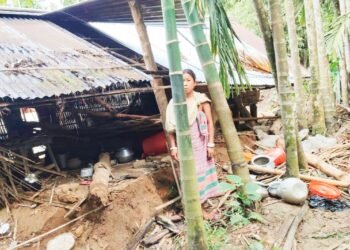Elephant damages home in SWGH
