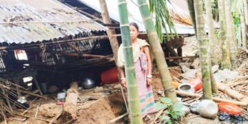 Elephant damages home in SWGH
