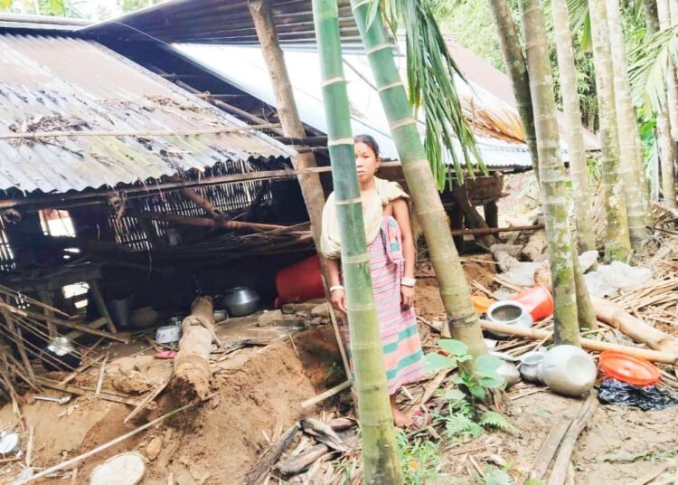 Elephant damages home in SWGH