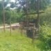 East Garo Hills: Unfenced transformer poses safety risk