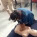 First aid training held for traffic personnel