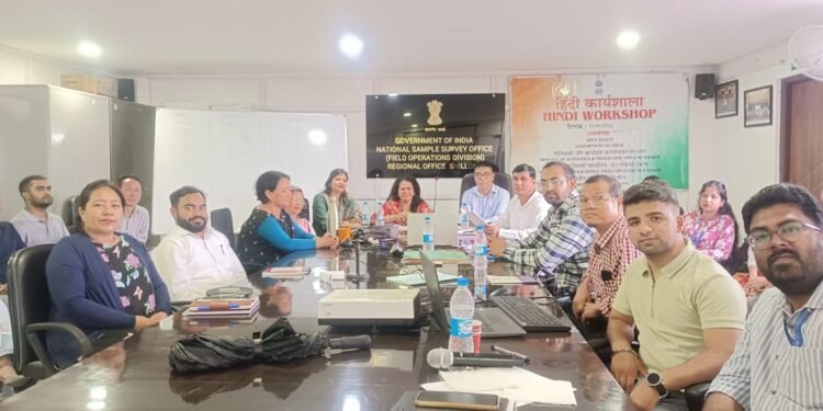NSO holds Hindi workshop
