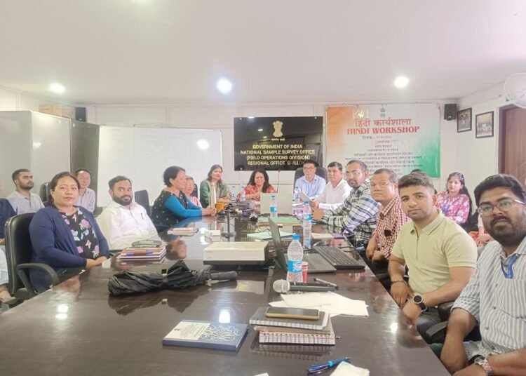 NSO holds Hindi workshop